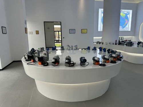 萬千氣象看四川 甜美內江行丨企業 回家 拓展 升級 前景